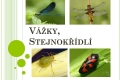 vazky,stejnokridli-01